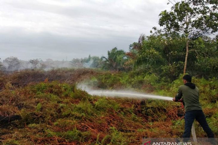 Lahan Gambut di Aceh Barat Terbakar, Totalnya Enam Hektare
