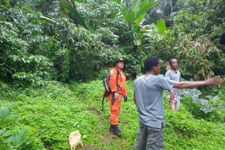 Dilaporkan Penebang Pohon Hilang di Hutan Aceh Tenggara