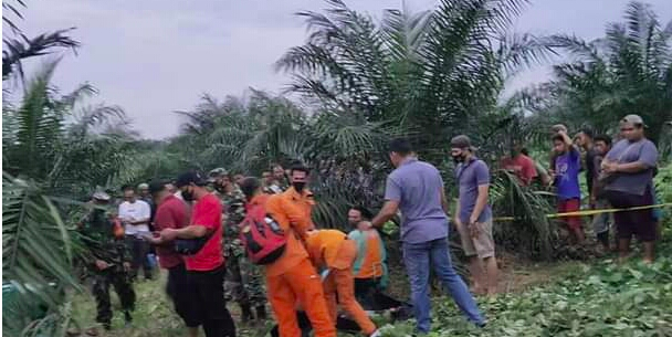 Warga Aceh Tamiang Ditemukan Meninggal di Kebun Sawit