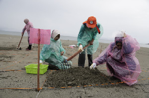 DLHK3 Banda Aceh Lakukan Survei Pemantauan Sampah Laut