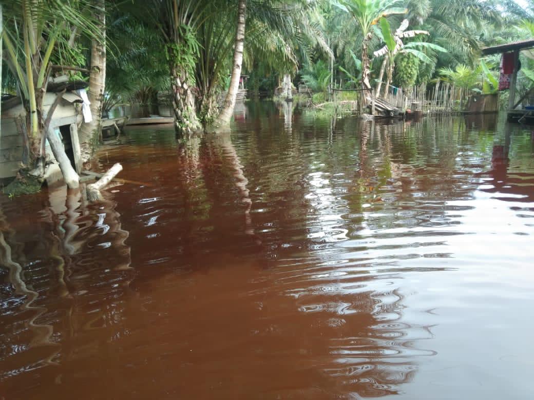 Kabupaten Aceh Singkil Dikepung Banjir