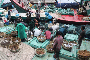 Pontang-panting Nelayan di Tengah Pandemi