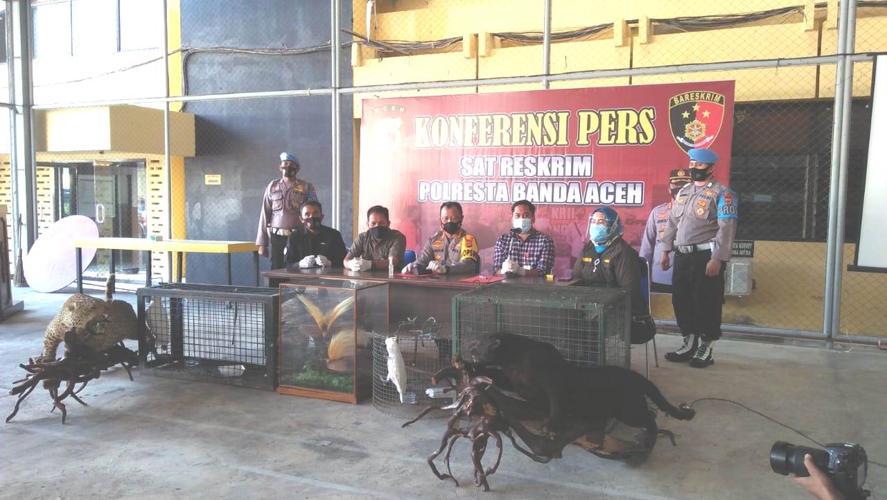 Polisi dan BKSDA Aceh Sita Satwa Dilindungi di Rumah Bandar Sabu
