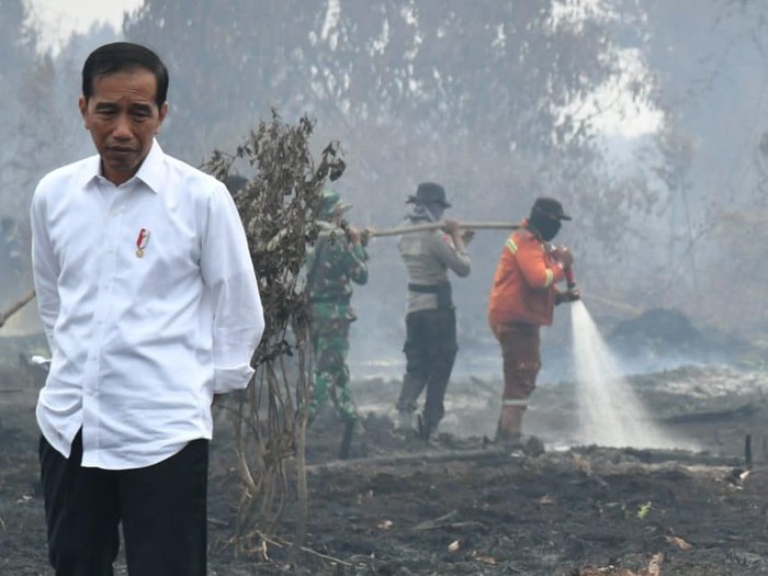 Jokowi: Pulau Sumatra Berpotensi Karhutla Februari Ini