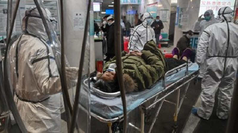 WHO Prediksikan, Peternakan Satwa Liar di China Menjadi sumber pandemi Covid-19