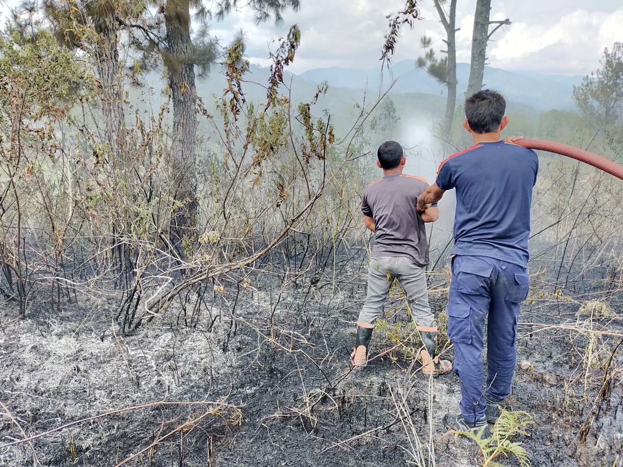 Februari 2021, 107 Hektar Lahan Terbakar di Aceh