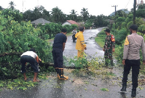Bersihkan Pohon Tumbang, TNI-Polri Gotong Royong Bersama Warga