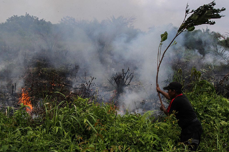 TNI Amankan Pelaku Pembakar Lahan di Aceh Tenggara