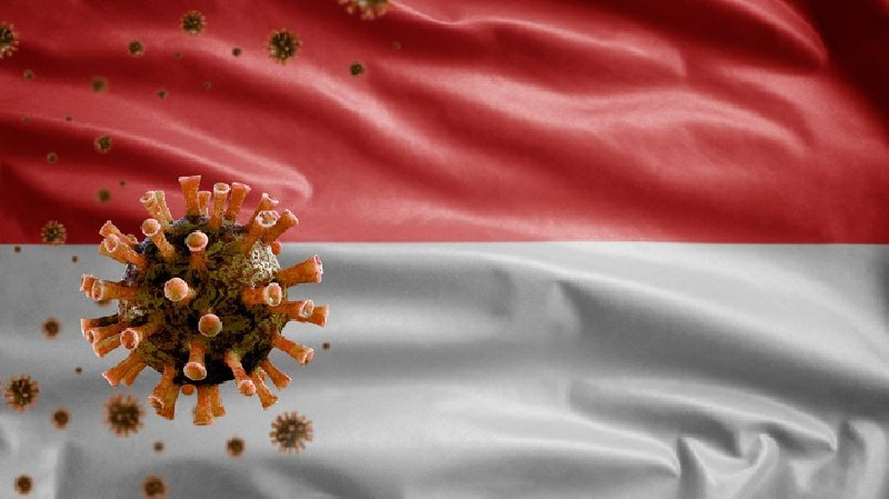 Indonesia Sudah Punya 54 Kasus Varian 'Ganas' Corona