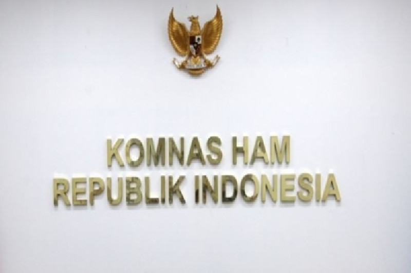 Komnas HAM Kecewa Dialog Jokowi & OPM Terjegal Label Teroris