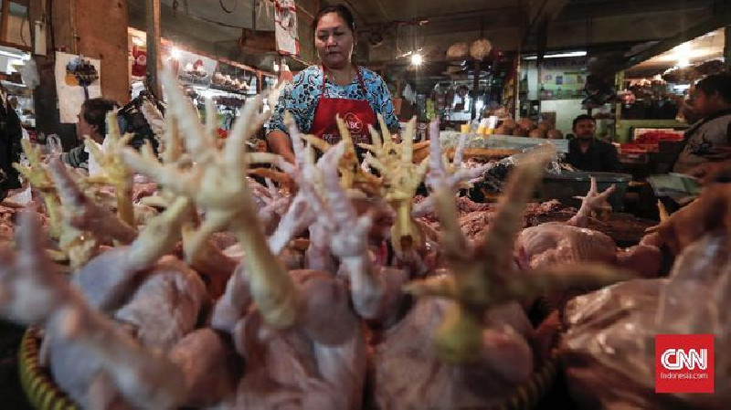 RI Ajukan Banding Dengan Brasil Mengenai Impor Ayam ke WTO