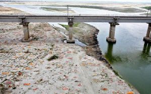 Sungai Gangga India Jadi Kuburan Massal