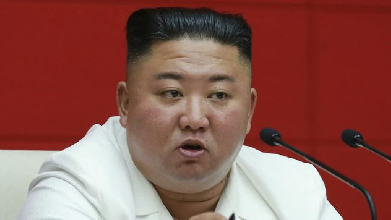 Cegah Corona, Kim Jong-un Musnahkan Kucing dan Merpati