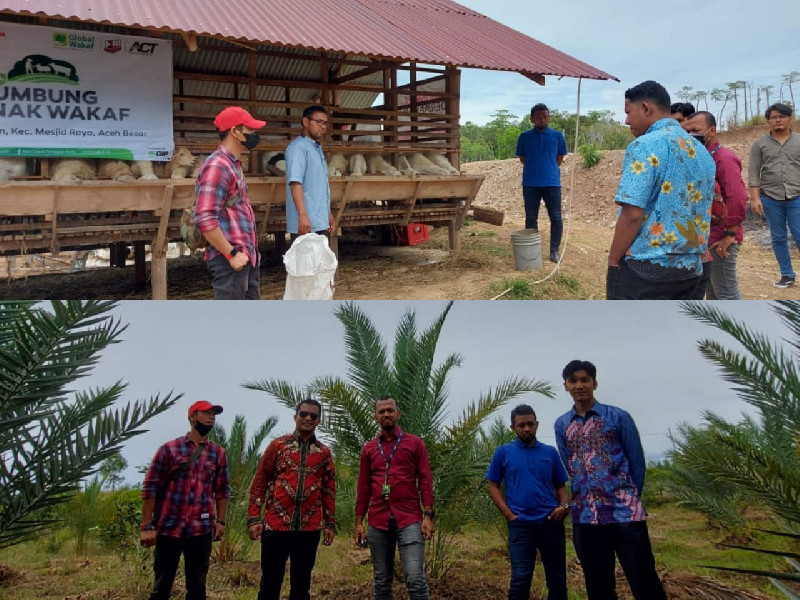 Bantu Umat, ACT Miliki Kebun Kurma dan Lumbung Ternak di Aceh Besar