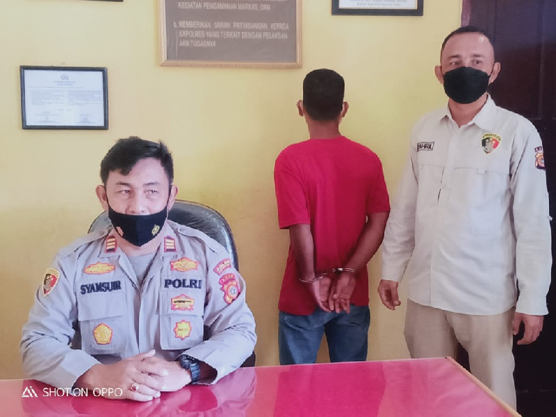 Dalih Beli Bulu Pancing, Seorang Pria Melakukan Pelecehan Seksual Anak Dibawah Umur di Abdya Diciduk Polisi