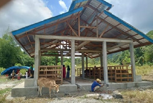 Inspektorat Abdya Diminta Audit Anggaran Untuk Pembangunan Kadang Sapi di Desa Drien