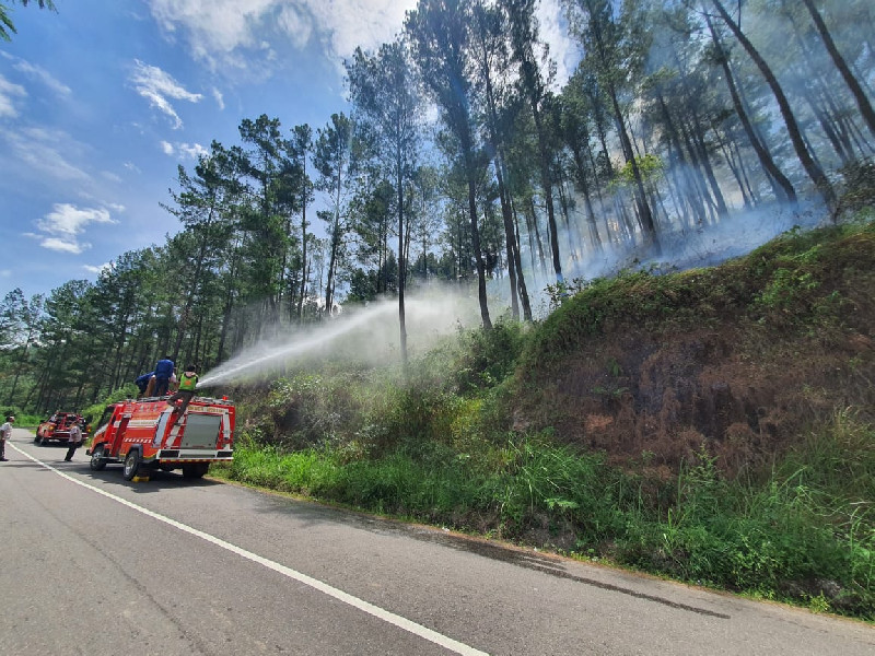 42 Hektar Hutan di Bener Meriah terbakar
