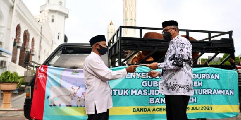 Gubernur Aceh Serahkan Sapi 700 Kg Untuk Kurban