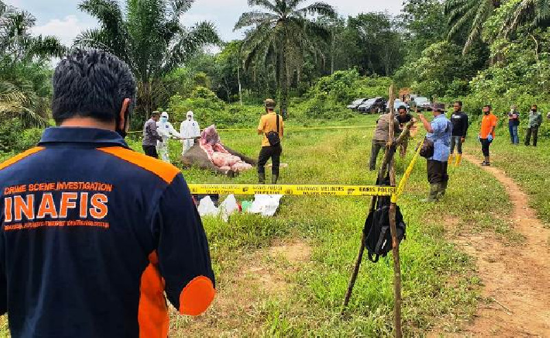 Polres Aceh Timur Bentuk Tim Khusus Untuk Ungkap Kematian Gajah Tanpa Kepala