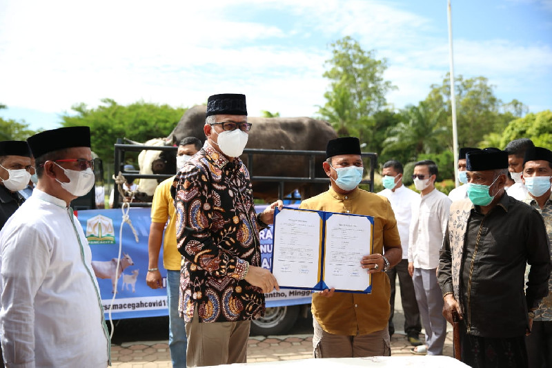 Aceh Besar Terima Sapi Qurban Bantuan Presiden Republik Indonesia