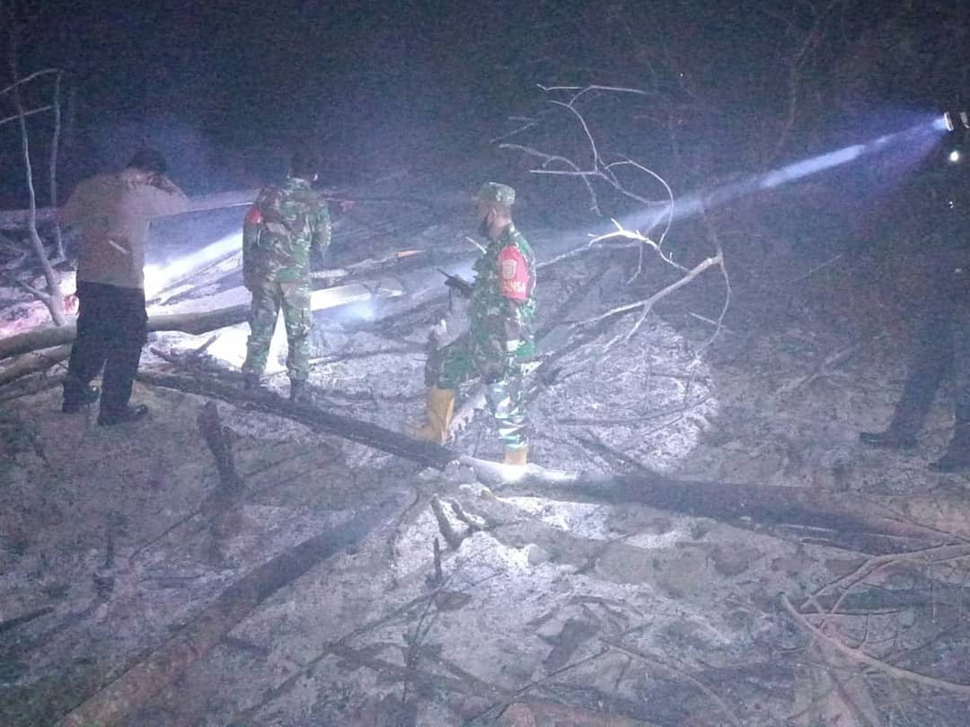 Titik Api Terpantau Hot Spot, Kebakaran Lahan di Pidie Mencapai 3 Hektar
