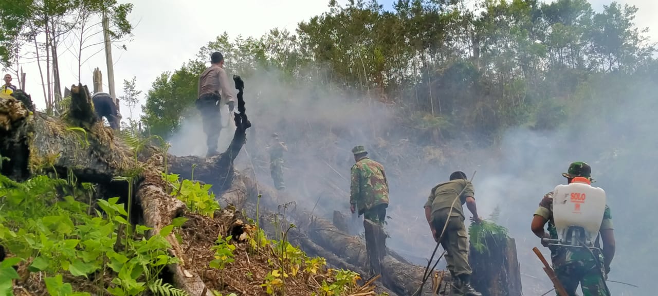 Kebakaran  di Aceh Tengah Kembali Terjadi, 11 Hektar Lahan Hangus