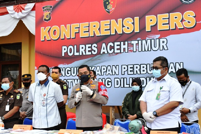 Pelaku Pemotong Kepala Gajah di Aceh Timur Sudah Beberapa Kali Melakukan Aksinya