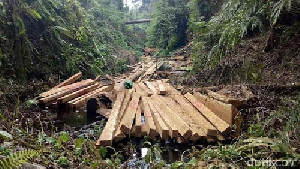 Polisi Tangkap Pelaku Dugaan Tindak Pidana Illegal Loging di Aceh