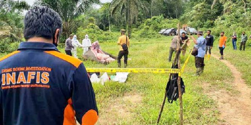Polisi Berhasil Ungkap Kasus Kematian Gajah Tanpa Kepala di Aceh Timur