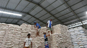 Bulog Serap Beras Petani Sebanyak 1 Juta Ton