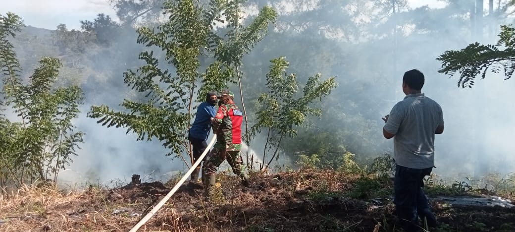 4 Hektar Lahan  di Bener Meriah Terbakar, TNI dan Damkar  Berhasil Padamkan Api