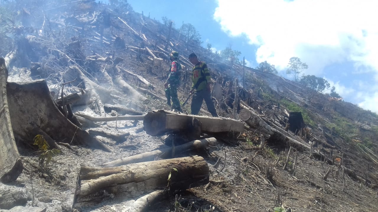 Kebakaran  Lahan di Aceh Tengah, 15 Hektar Hangus Jadi Arang