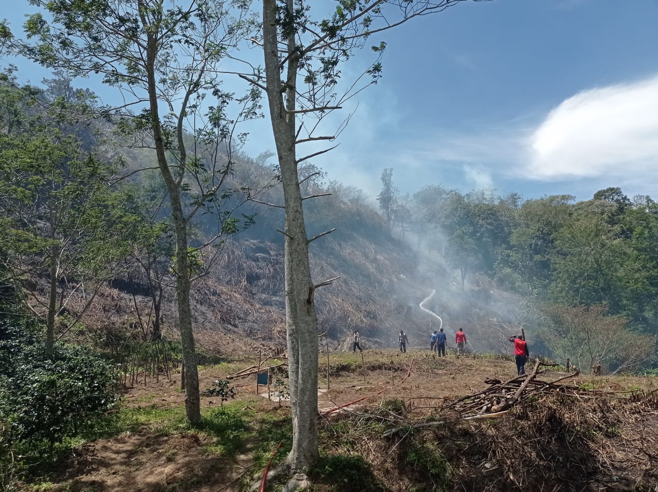 Lahan Seluas 7 Hektare di Bireuen Terbakar