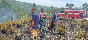 Kebakaran Lahan Serai 1,5 Hektar, Api Terpantau Aplikasi Hotspot