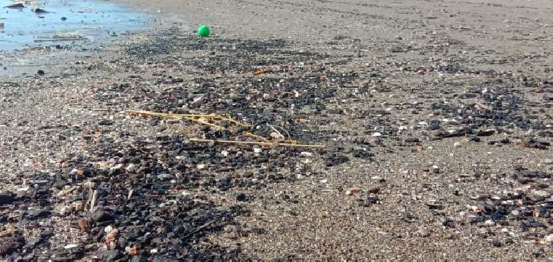 Pantai Ulee Lheue Banda Aceh Tercemar Batu Bara