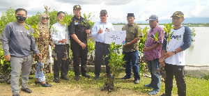 PLN UIW Aceh Gandeng LSM RADAR dan BAS ACEH Tanam 3.500 Mangrove di Pantai Alue Naga