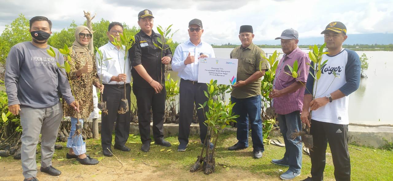 PLN UIW Aceh Gandeng LSM RADAR dan BAS ACEH Tanam 3.500 Mangrove di Pantai Alue Naga