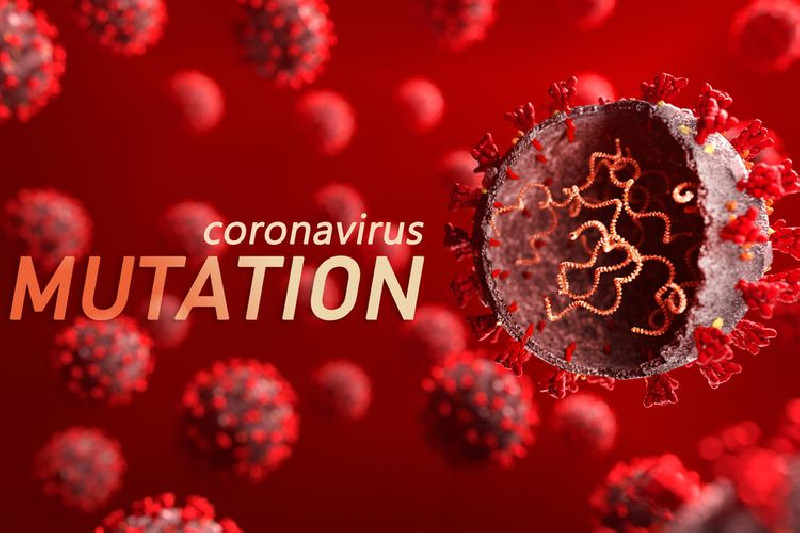 Varian Baru Virus Corona Datang dari Negara Asia dan Eropa
