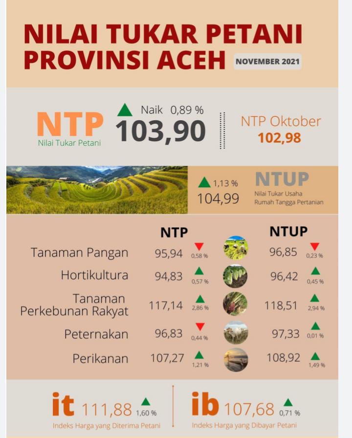 NTP Aceh Alami Kenaikan di Semua Subsektor, Kecuali Tanaman Pangan dan Peternakan