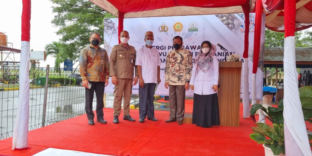 Aceh Kirim 1,3 Ton Kopi Arabika Gayo ke Negara Asia dan Eropa