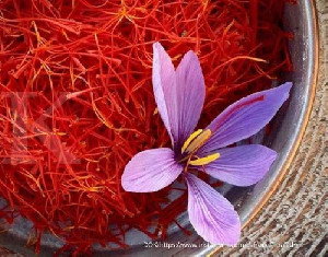 Kurangi Kadar Gula Darah dapat Manfaatkan Saffron