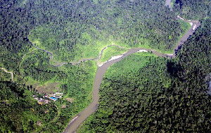 31 Persetujuan Pelepasan Kawasan Hutan Untuk Perkebunan Capai 383.397 Hektar