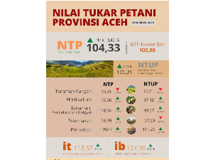 NTP Aceh Desember 2021 Alami Kenaikan di Semua Subsektor, Kecuali Tanaman Pangan