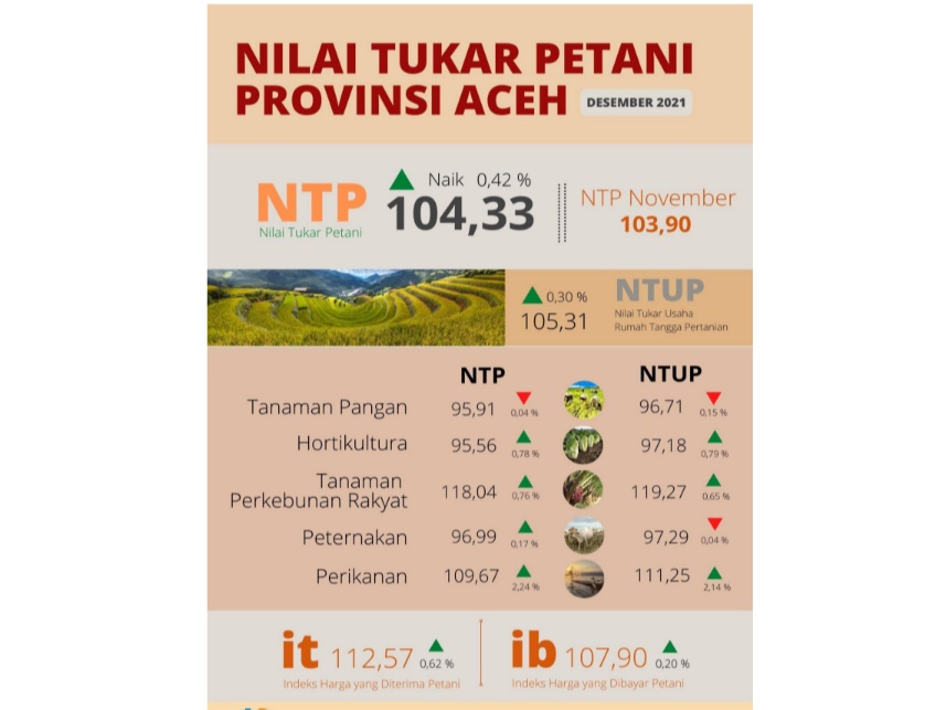 NTP Aceh Desember 2021 Alami Kenaikan di Semua Subsektor, Kecuali Tanaman Pangan