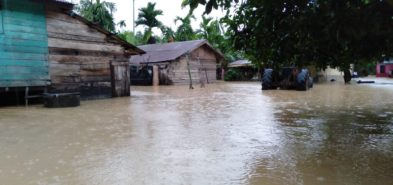 Aceh Timur Diterjang Banjir, Ratusan Warga Mengungsi