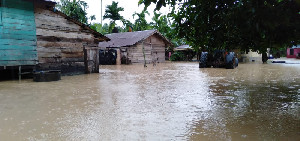 Aceh Timur Diterjang Banjir, Ratusan Warga Mengungsi