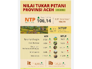 NTP Aceh Januari 2022 Alami Kenaikan di Semua Subsektor, Kecuali Hortikultura dan Peternakan