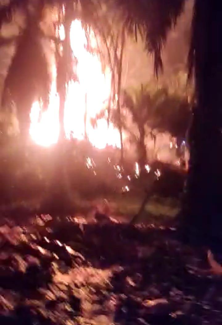 Kebakaran Sumur Minyak di Ranto Peureulak, Ini Respon Kepala BPBD Aceh Timur