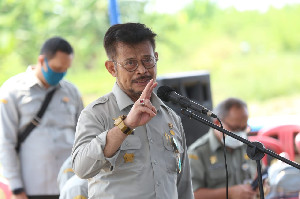 Mentan Sebut Ketersedian Sapi Untuk Aceh dan Sumut Tercukupi