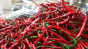 Jelang Ramadhan, Harga Cabai di Aceh Naik Drastis